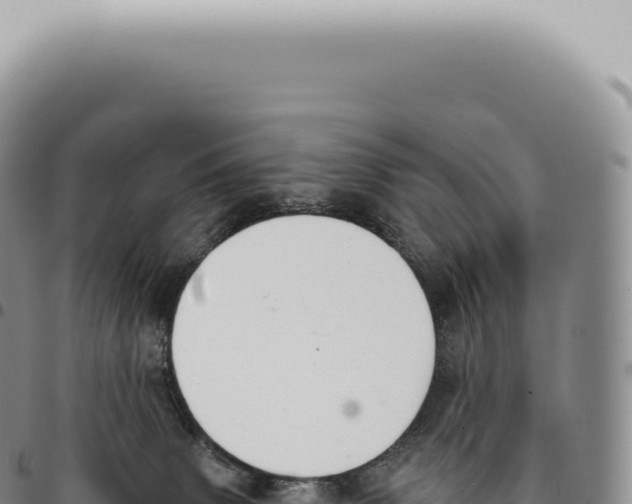 X0000093360083200711081524