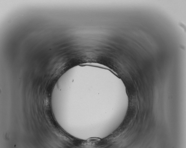X0000093360084200711081524