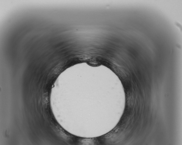 X0000093360085200711081524