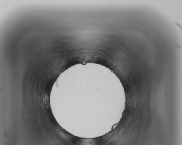 X0000093360087200711081524