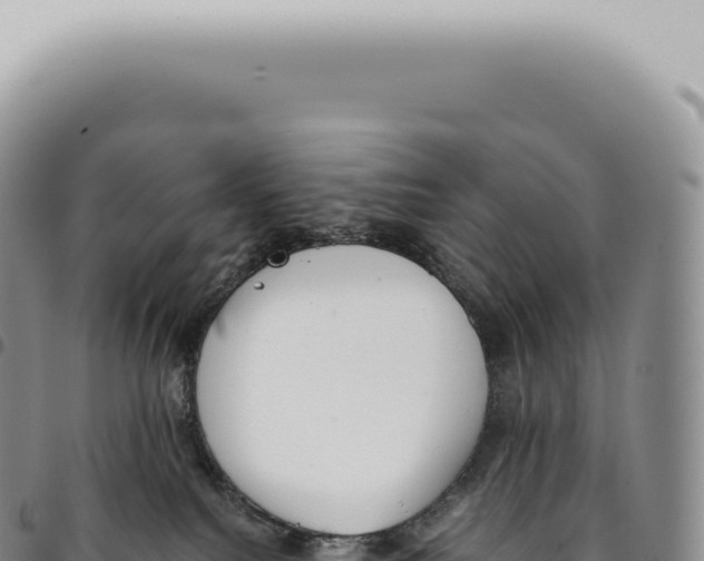 X0000093360088200711081524