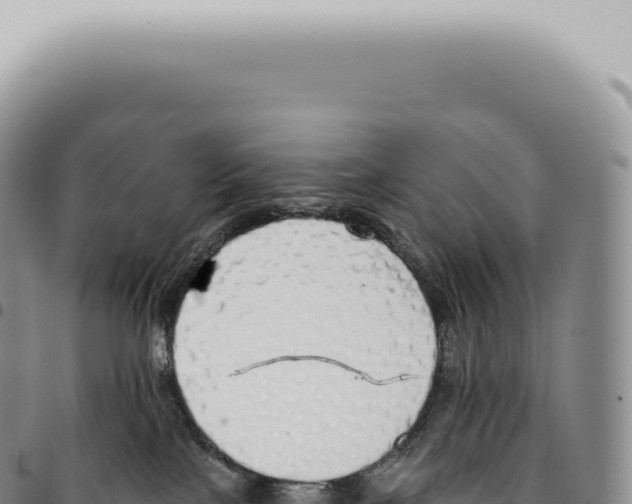 X0000093360089200711081524