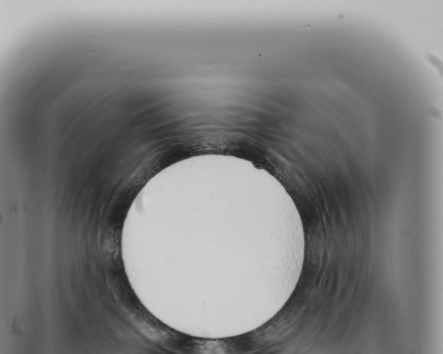 X0000093360091200711081524