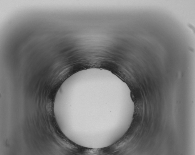X0000093360092200711081524