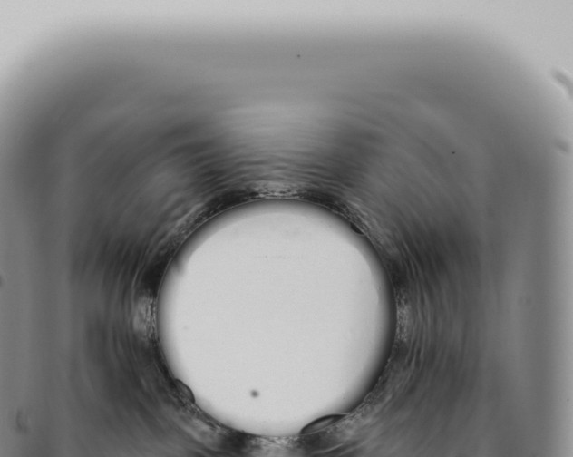 X0000093360093200711081524