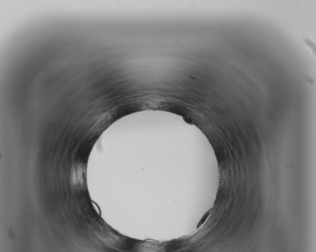 X0000093360094200711081524