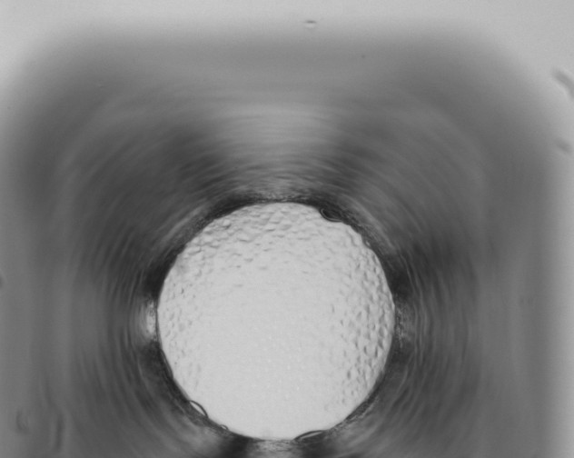 X0000093360095200711081524