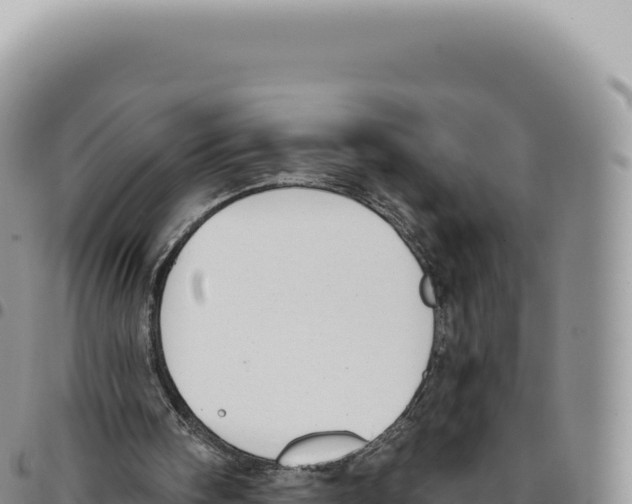 X0000093360098200711081523