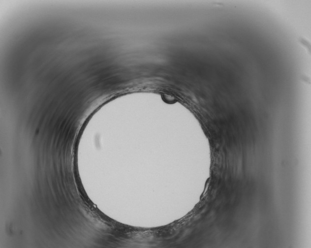 X0000093360100200711081523
