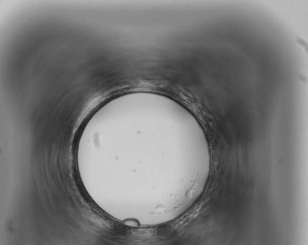 X0000093360102200711081523