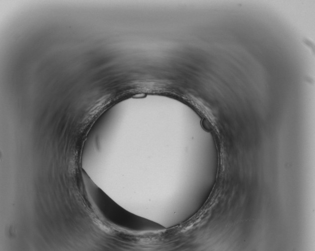 X0000093360105200711081523