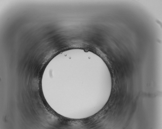 X0000093360106200711081523
