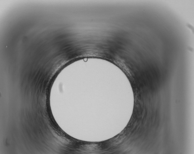 X0000093360108200711081523