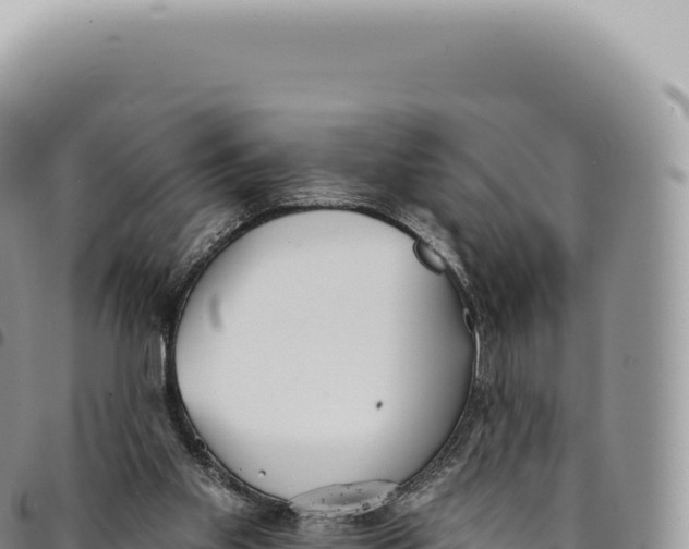 X0000093360109200711081523
