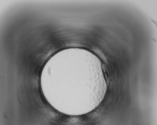 X0000093360111200711081523