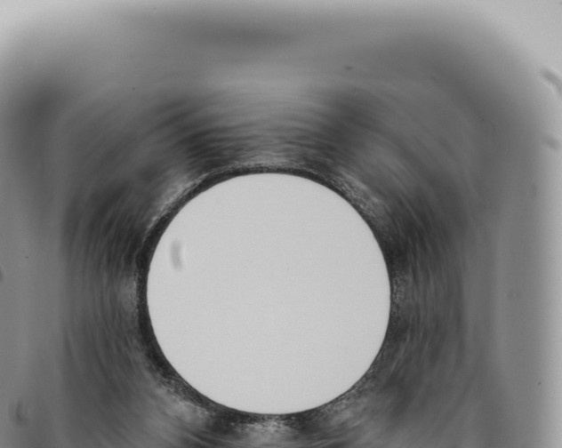 X0000093360112200711081523