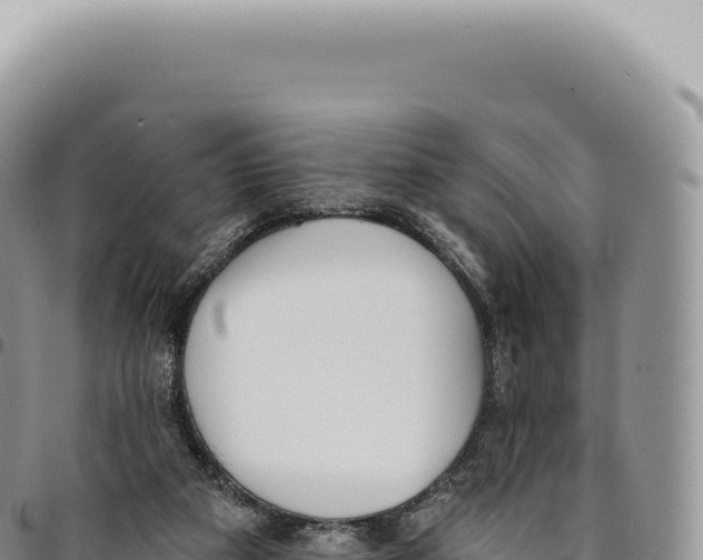 X0000093360113200711081523