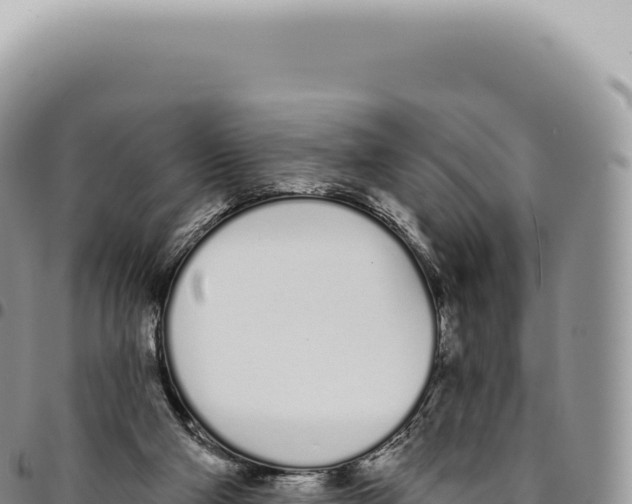 X0000093360114200711081523