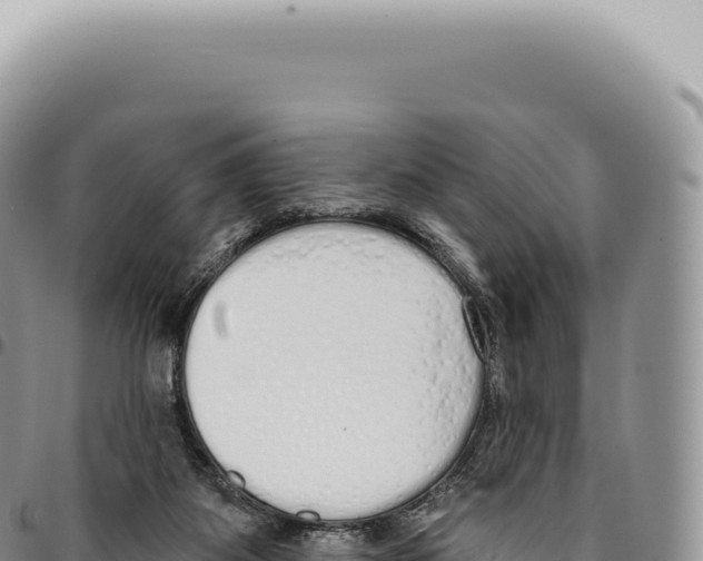 X0000093360115200711081523