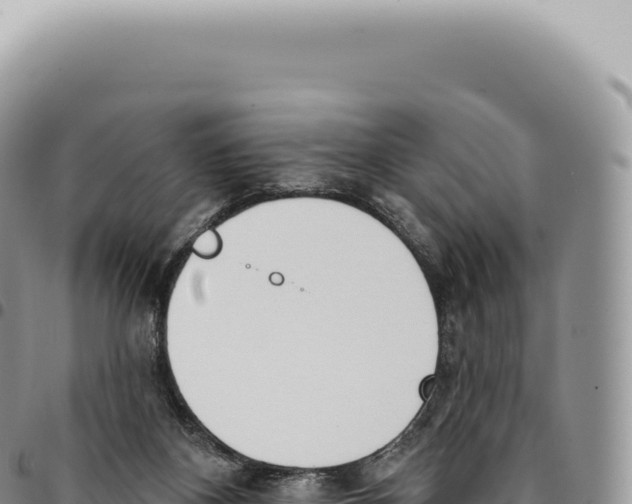 X0000093360116200711081523