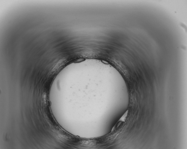 X0000093360117200711081523