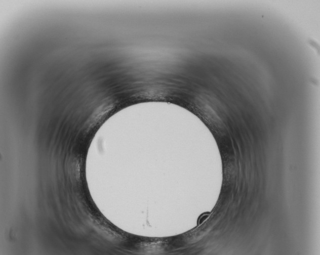 X0000093360120200711081523