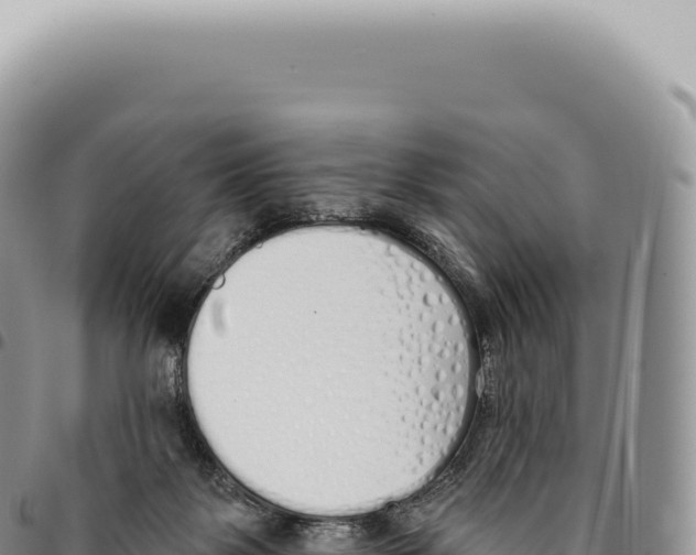 X0000093360123200711081523