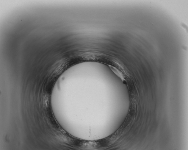 X0000093360125200711081523