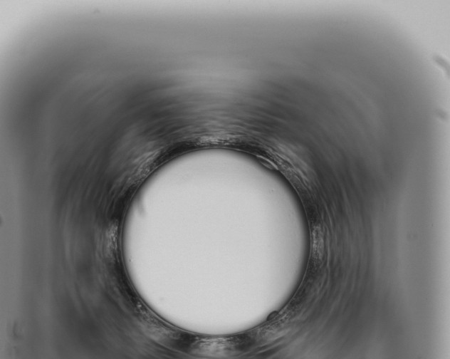 X0000093360127200711081523