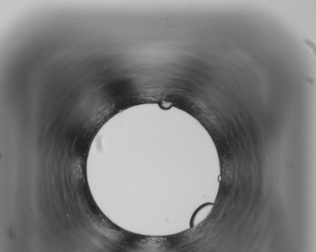 X0000093360128200711081523