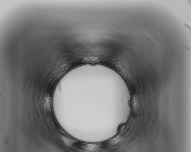 X0000093360130200711081523