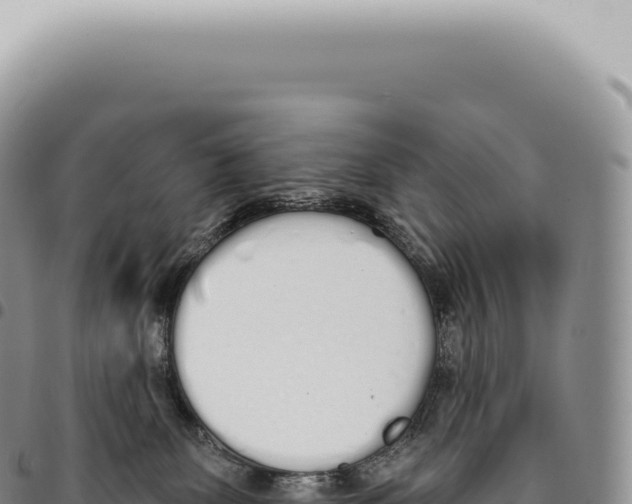X0000093360131200711081523