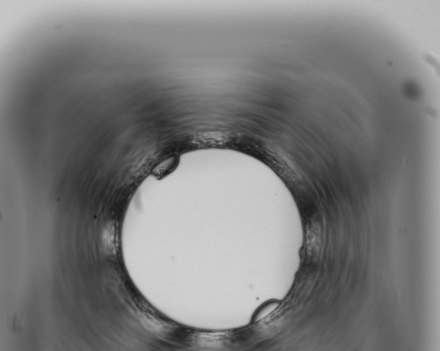 X0000093360134200711081523