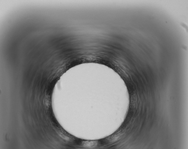 X0000093360135200711081523