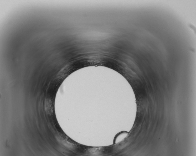 X0000093360136200711081523