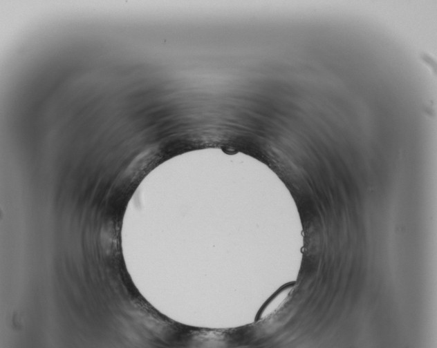 X0000093360140200711081522
