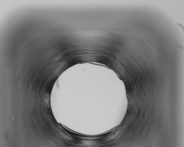 X0000093360141200711081522