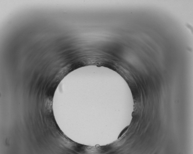X0000093360142200711081522