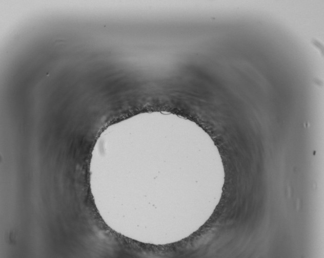 X0000093360144200711081522