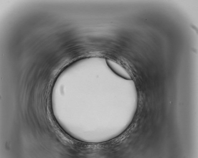 X0000093360145200711081522