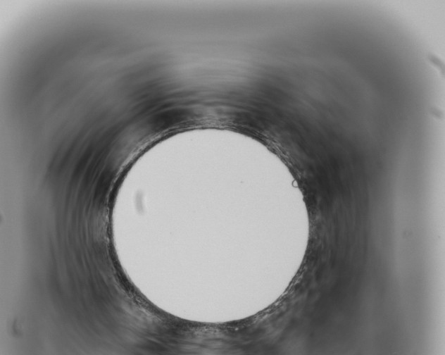 X0000093360146200711081522