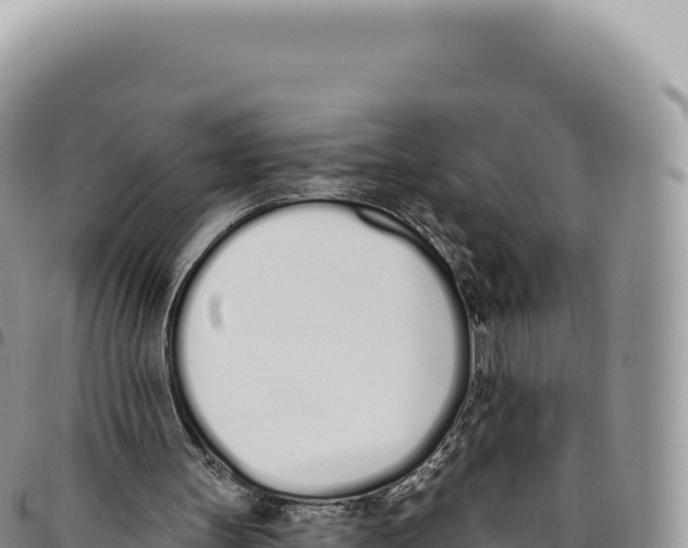 X0000093360147200711081522
