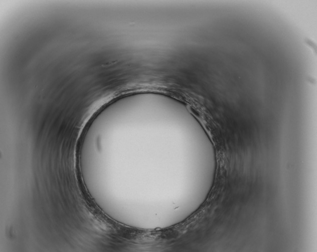 X0000093360148200711081522