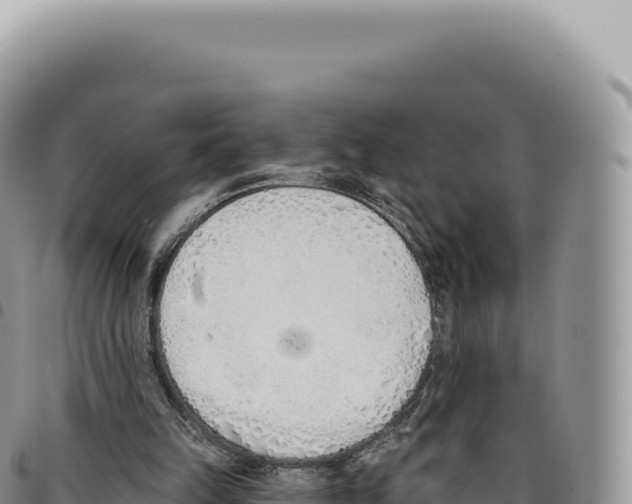 X0000093360149200711081522