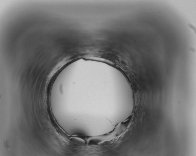 X0000093360150200711081522