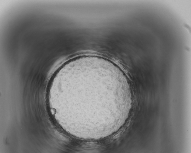 X0000093360151200711081522