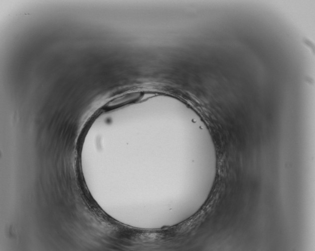 X0000093360152200711081522