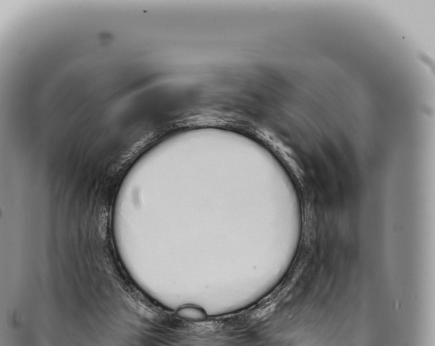 X0000093360153200711081522
