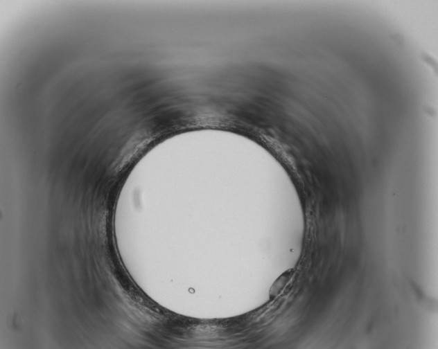X0000093360154200711081522