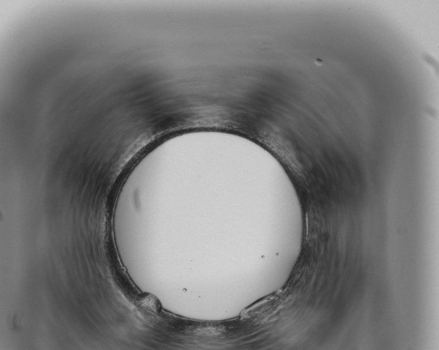 X0000093360156200711081522